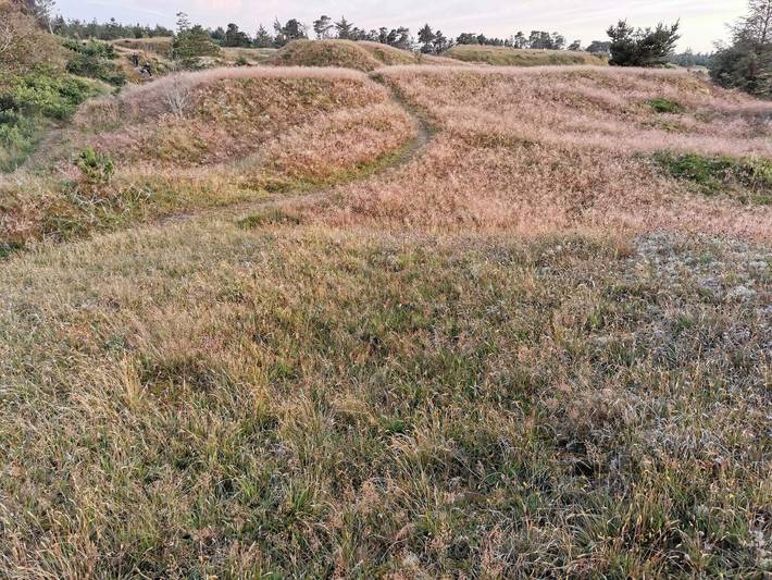 Ferienhaus für 6 Personen, mit Terrasse, kinderfreundlich in Nordostjütland - 4