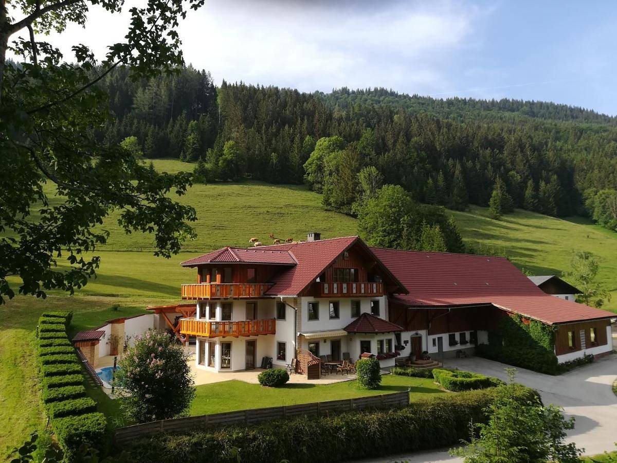 Ganze Wohnung, Ferienwohnung Hackstock in Lunz am See, Mostviertel Region