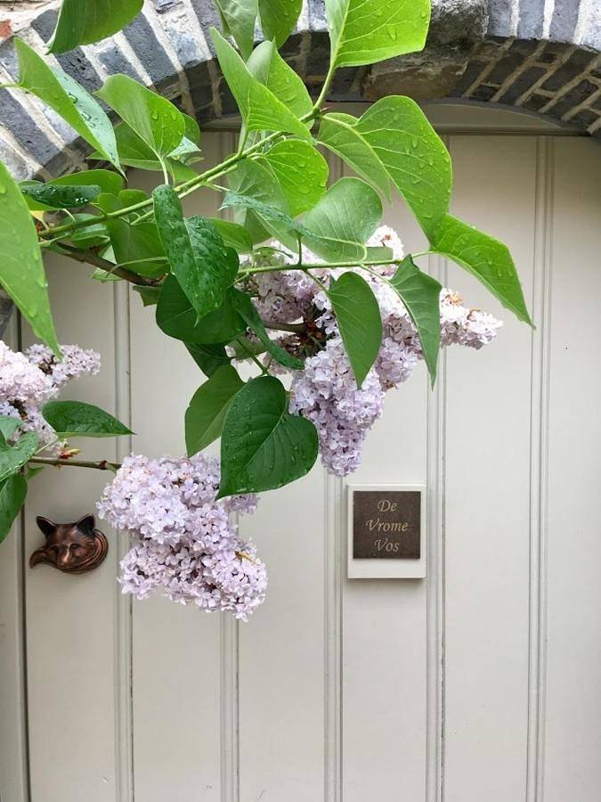 Deluxe Double Room in Malines, Région d'Anvers