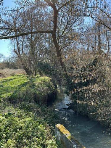Location de vacances pour 2 personnes, avec jardin et terrasse, animaux acceptés à Pompignac - 4