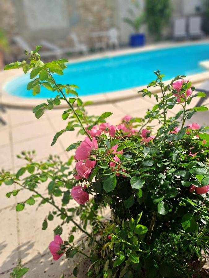 Location de vacances pour 4 personnes, avec jacuzzi ainsi que piscine et jardin, animaux acceptés à Sainte-Valière - 3