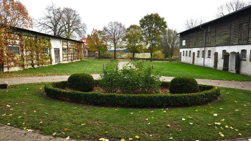 Ferienwohnung für 3 Personen, mit Garten in Dargen - 3