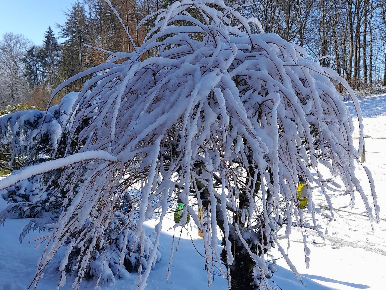 Ganze Ferienwohnung, Ferienwohnung Inauen´s Kiek in - Ferienwohnung in Buxtehude, Altes Land Stade