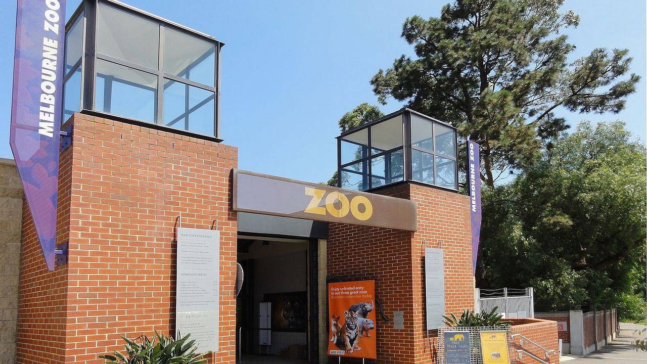 Entire holiday apartment, Ferienwohnung für 2 Personen (37 m²) in Travancore in Melbourne, Moonee Valley City