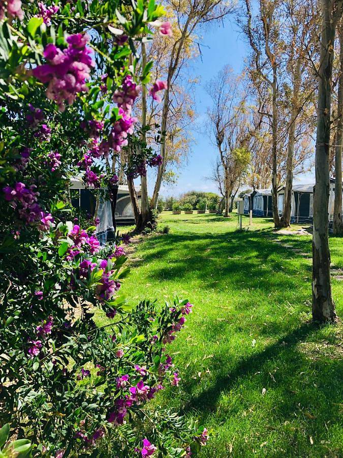 Camping Cala d'Ostia in Pula e dintorni, Cagliari e Dintorni