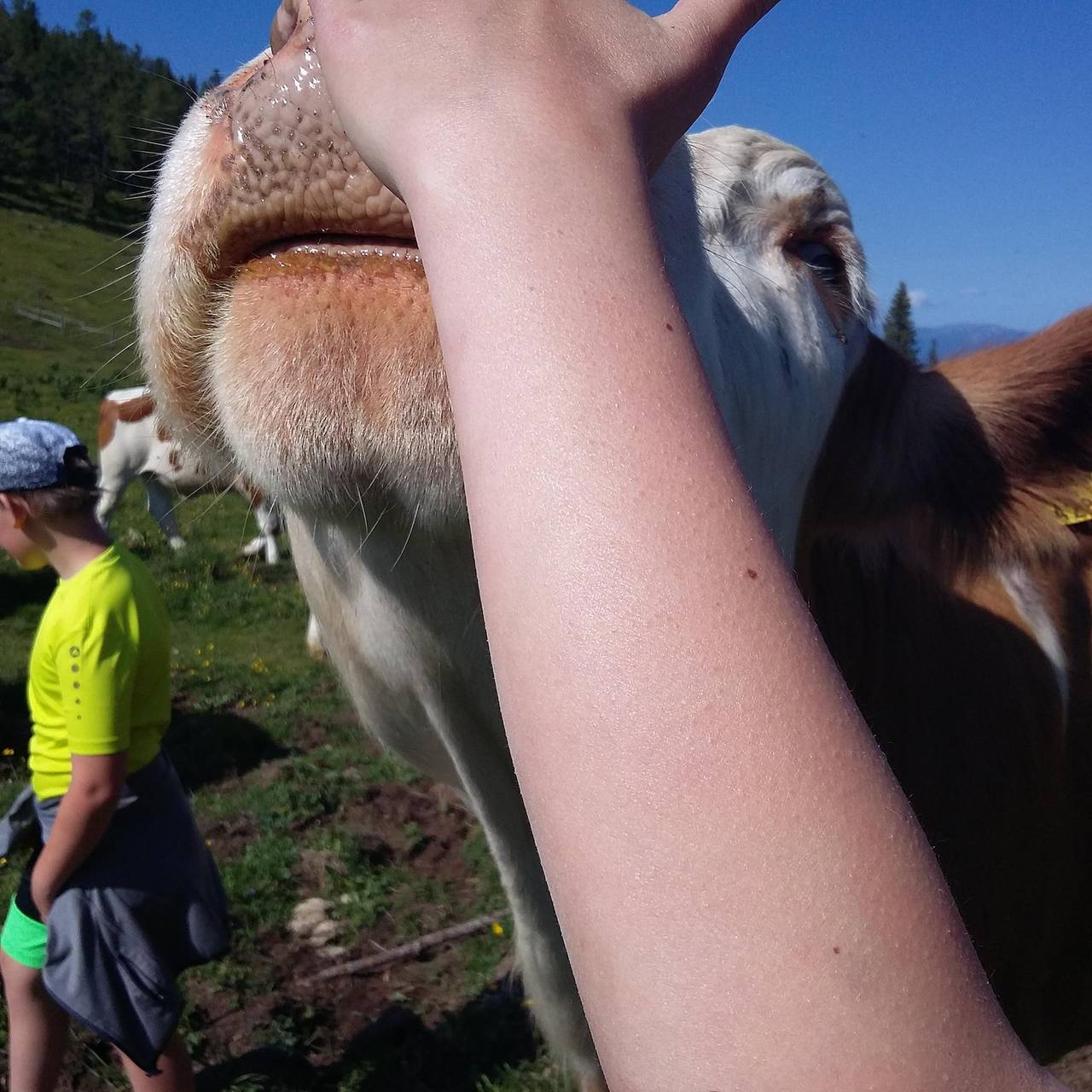 Ganze Ferienwohnung, Ferienwohnung Grasslupp in Zeutschach, Westliche Obersteiermark