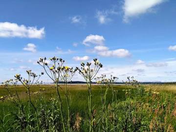 Ferieudlejning til 4 Personer i Rønde, Djursland, Billede 1
