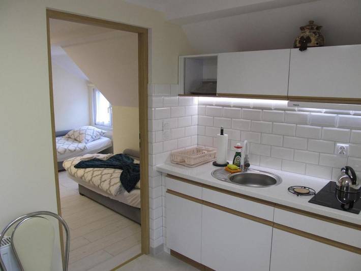 Appartement de vacances pour 4 personnes, avec vue et jardin, animaux acceptés - 1