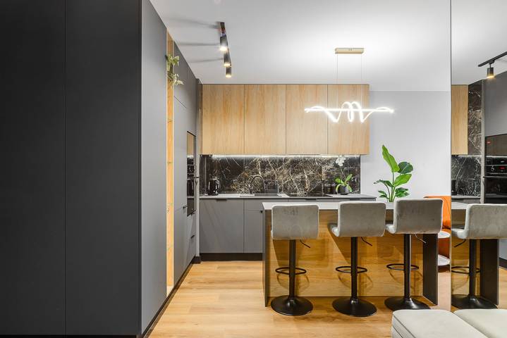 Cały apartament, Lumina luxury apartment with garden in Łódź, Województwo łódzkie