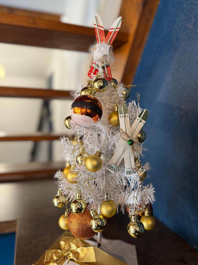 Gîte pour 2 personnes, avec vue et terrasse, animaux acceptés dans Office De Tourisme Challes Les Eaux - 3