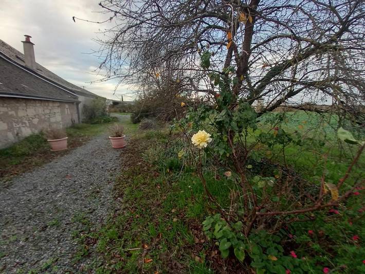 Location de vacances pour 5 personnes, avec jardin ainsi que terrasse et vue à La Chapelle-sur-Loire - 2