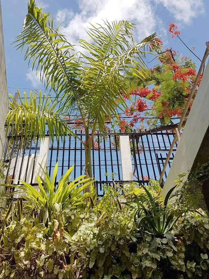 Appartement de vacances pour 2 personnes, avec jardin ainsi que vue et terrasse - 1