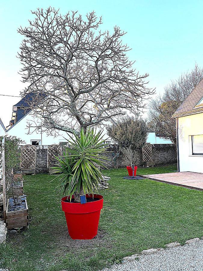 Maison de vacances pour 8 personnes, avec Terrasse et Jardin à Quiberon - 4