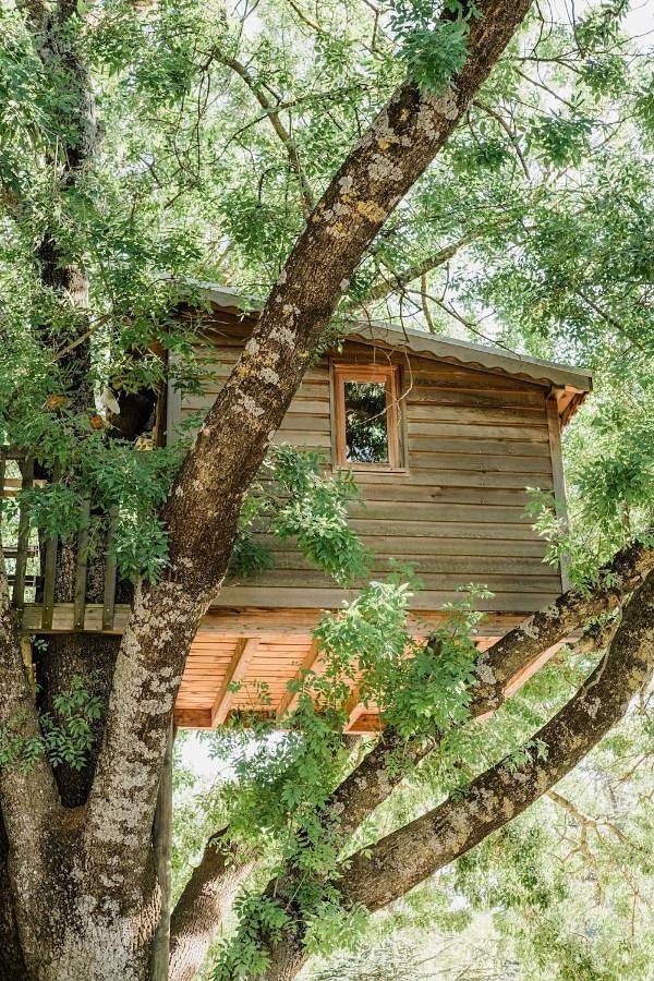 Holiday home for 2 people, with terrace and garden as well as hot tub - 1