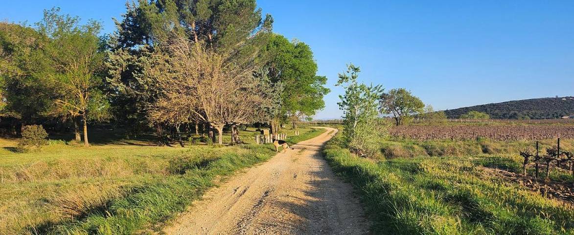 Gîte pour 2 personnes, avec piscine ainsi que jardin et jacuzzi à Baron - 2