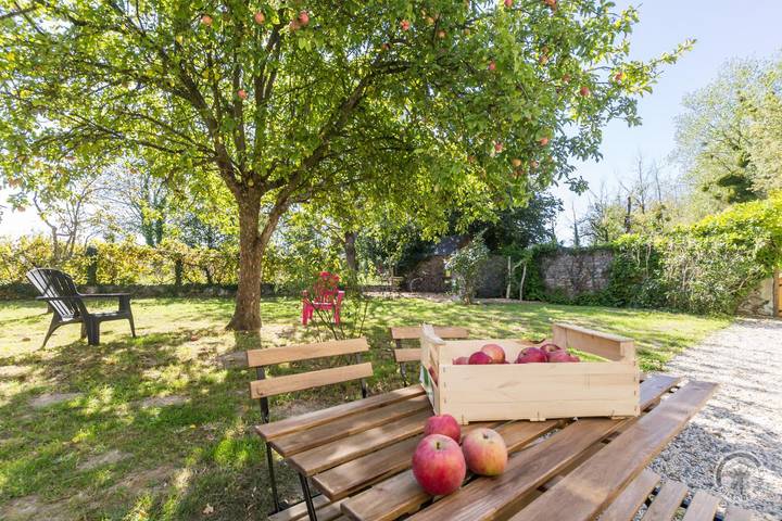 Gîte pour 5 personnes, avec Jardin dans la Manche - 2