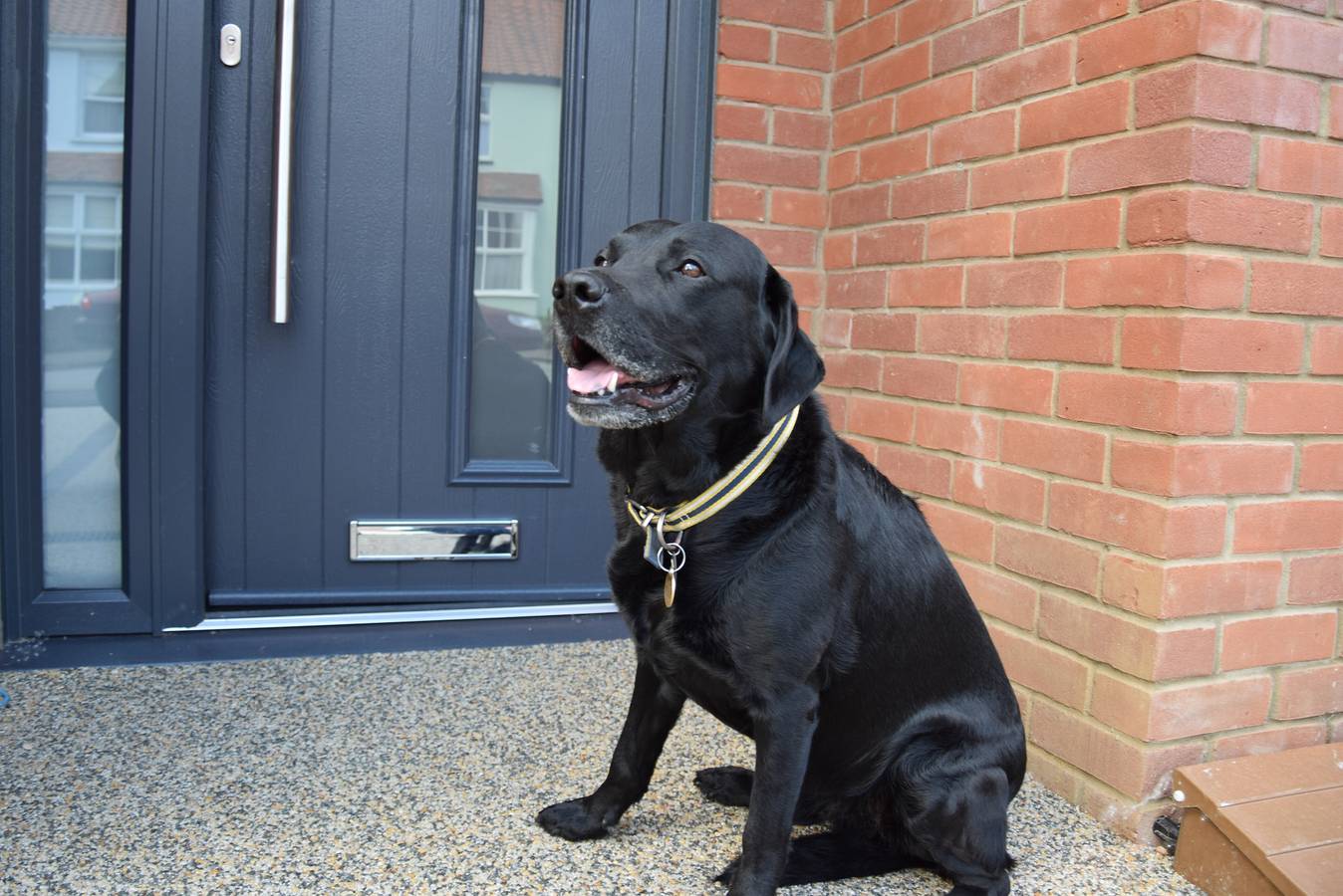 Salt Marsh House, Southwold in Southwold, Waveney District