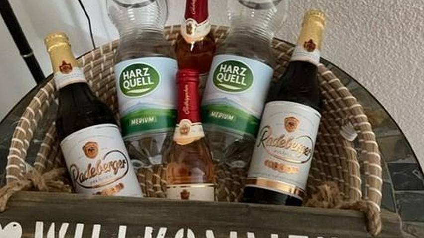 Ferienhaus für 7 Personen, mit Sauna und Garten in Thale - 4