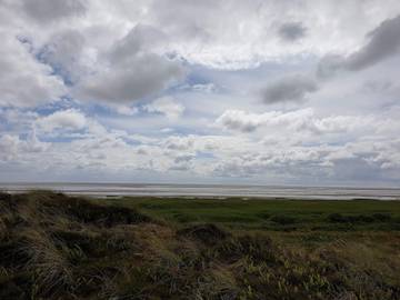 Ferieudlejning til 18 Personer i Sønderho, Fanø, Billede 1