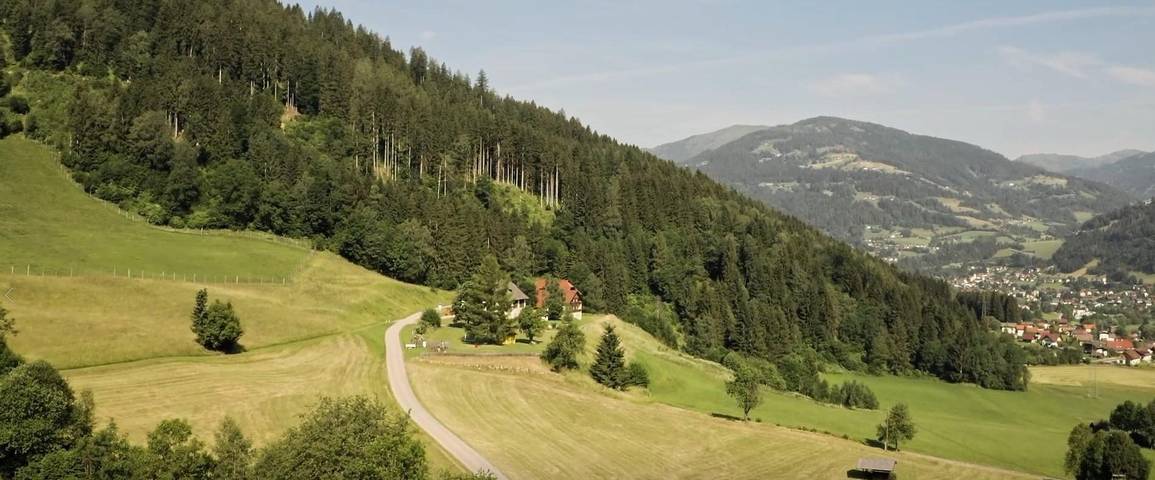 Ferienwohnung für 5 Personen, mit Balkon und Terrasse sowie Garten und Ausblick in Feld am See