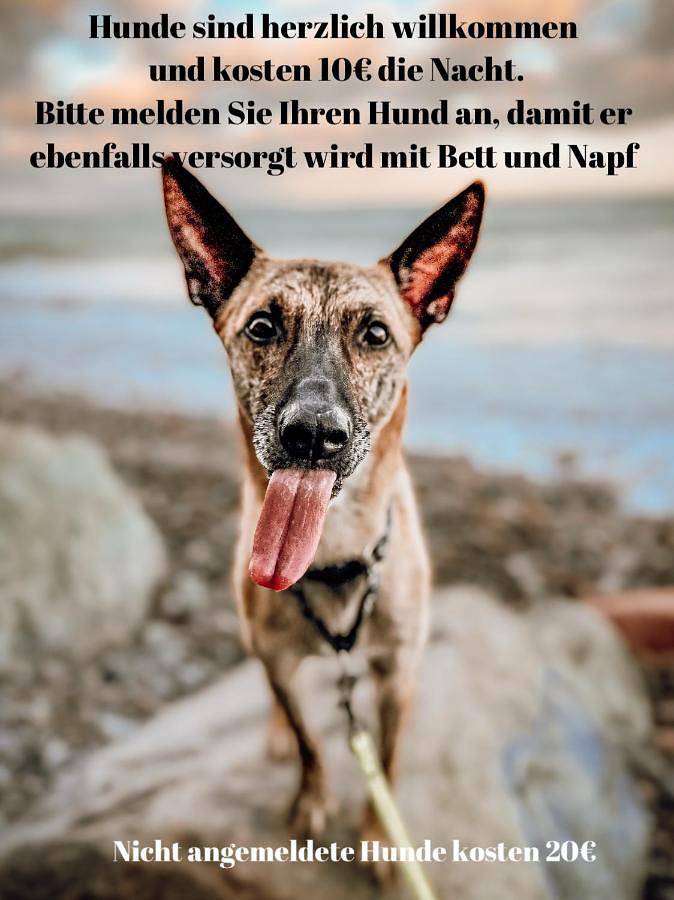 Ferienwohnung für 4 Personen, mit Garten in Lichtenhagen - 3