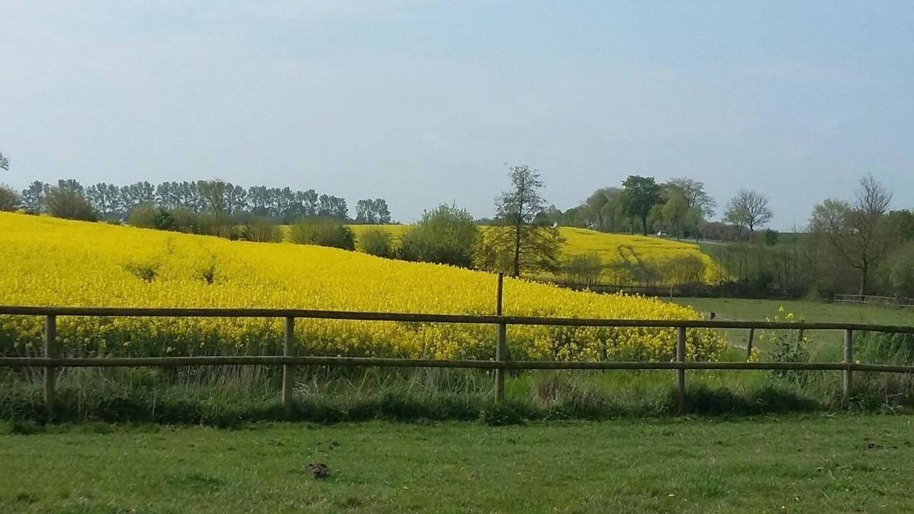 Ganze Wohnung, Krügerhof Lübbersdorf in Oldenburg in Holstein, Ostholstein