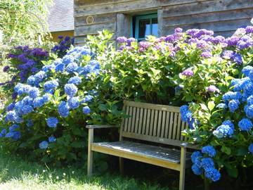 Gîte pour 4 Personnes dans Région d'Argentan, Orne, Photo 2