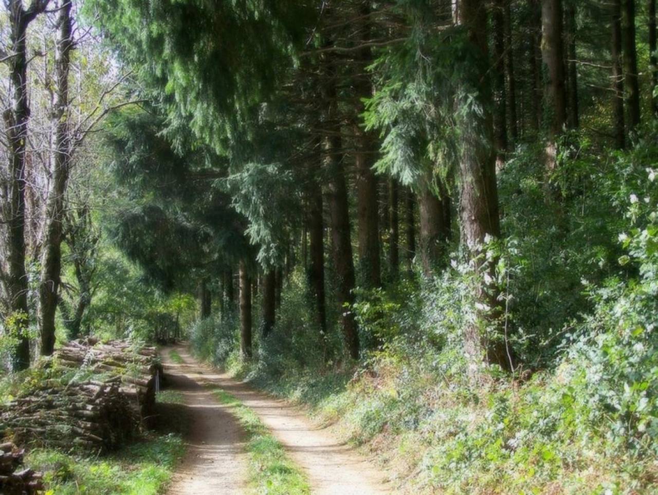 La Bouriette du Bout du Pont in Bout-du-Pont-de-Larn, Castres und Umgebung