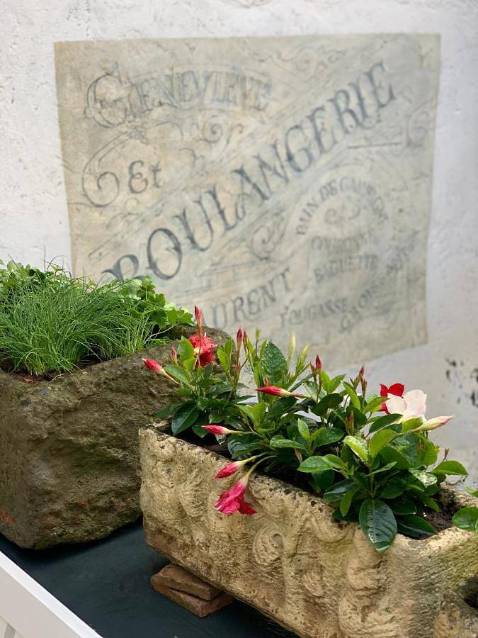 Chambre d’hôte pour 2 personnes, avec terrasse et vue à Caunes-Minervois - 4