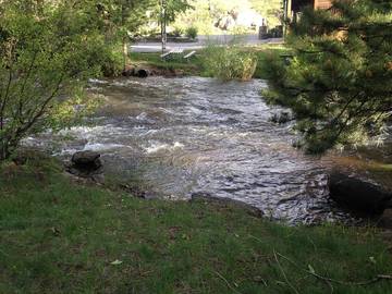 Log Cabin for 4 Guests in Estes Park, Larimer County, Picture 4