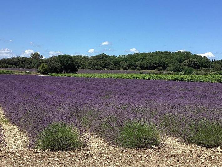 Location de vacances pour 6 personnes, avec jacuzzi et jardin, adapté aux familles à La Baume-de-Transit - 4