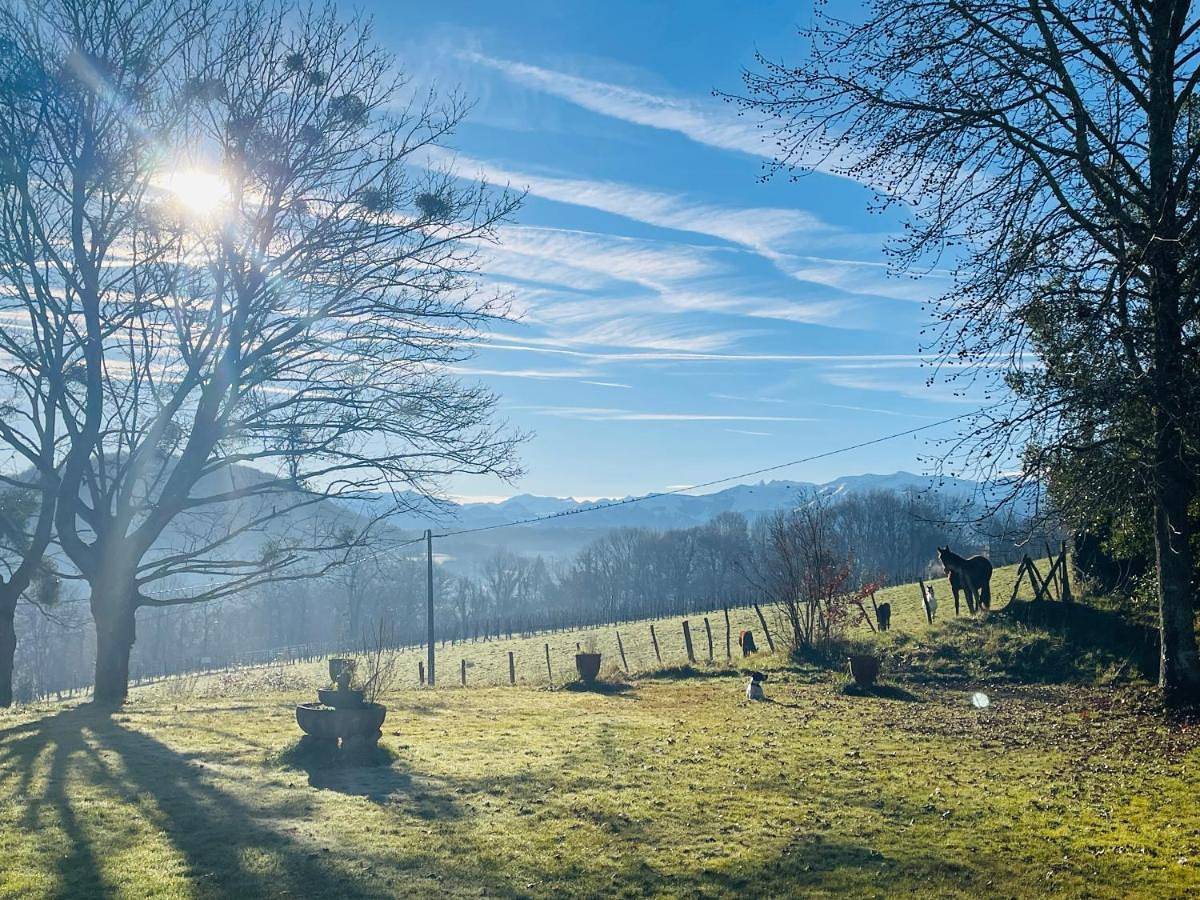 Charming house, pool and Pyrenees view in Gan, Béarn