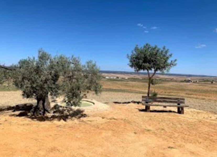Los Alcores , disfruta de la naturaleza ! in Villalba del Alcor, Provincia de Huelva