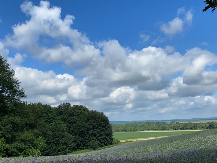 Ferienwohnung für 5 Personen, kinderfreundlich in Worpswede - 4