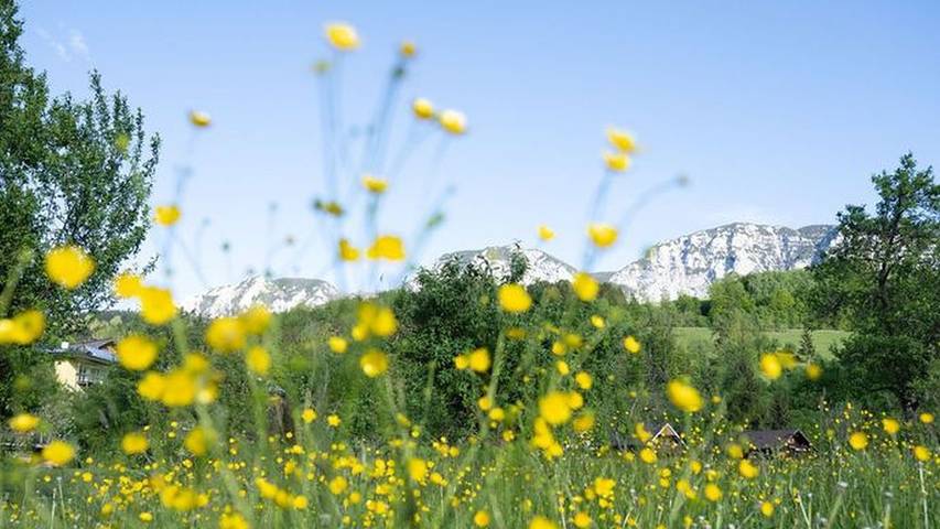 Ferienwohnung für 2 Personen, mit Garten in Steinbach am Attersee - 4