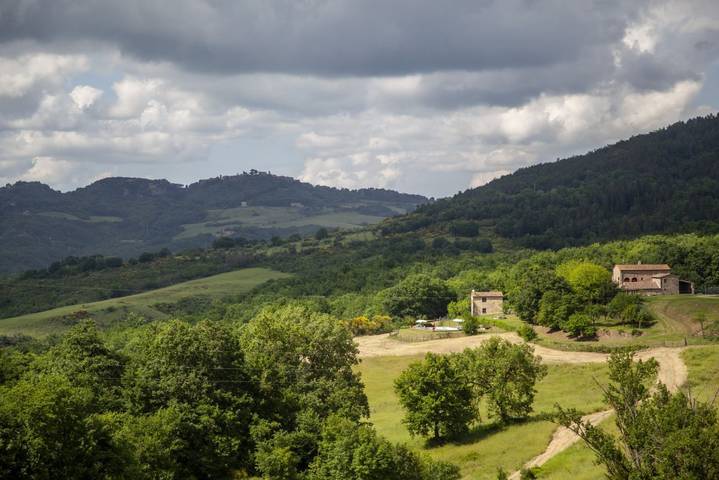 Location de vacances pour 11 personnes, avec jardin et piscine à Radicondoli - 3
