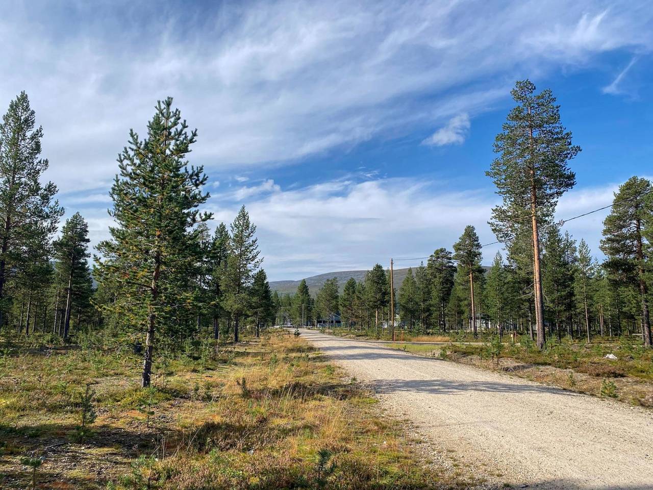 Kuukkeli in Lappland
