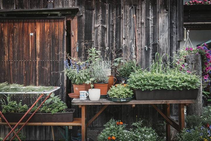 Pension für 2 Personen, mit Garten und Balkon in der Steiermark - 2