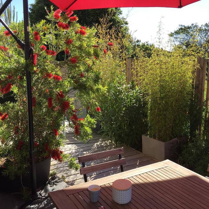 Chambre d’hôte pour 3 personnes, avec jardin et vue à Sainte-Marie-de-Ré - 2