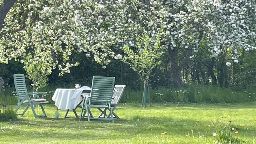 Ferienwohnung für 3 Personen, mit Garten in Saal - 2