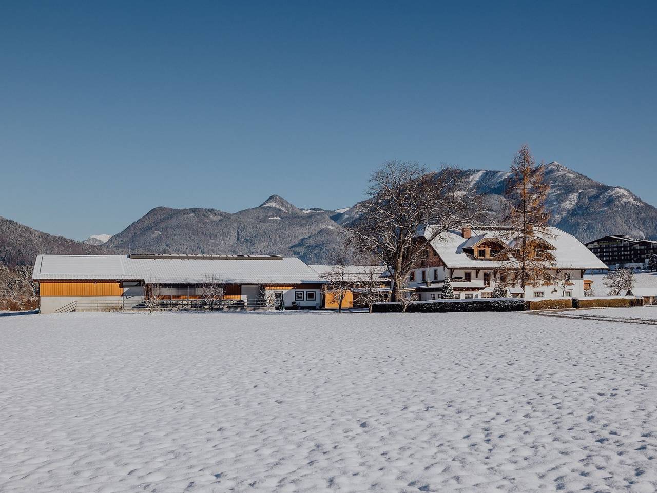 Ganze Ferienwohnung, Klinglerbauer - Ferienwohnung Zimnitz in Salzkammergut-Berge, Strobl
