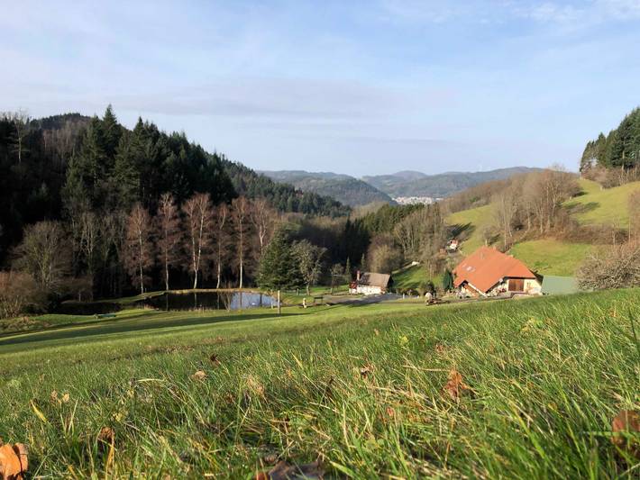 Ferienhaus für 3 Personen, mit Balkon und Garten sowie Seeblick und Ausblick in Markgraeflerland - 4