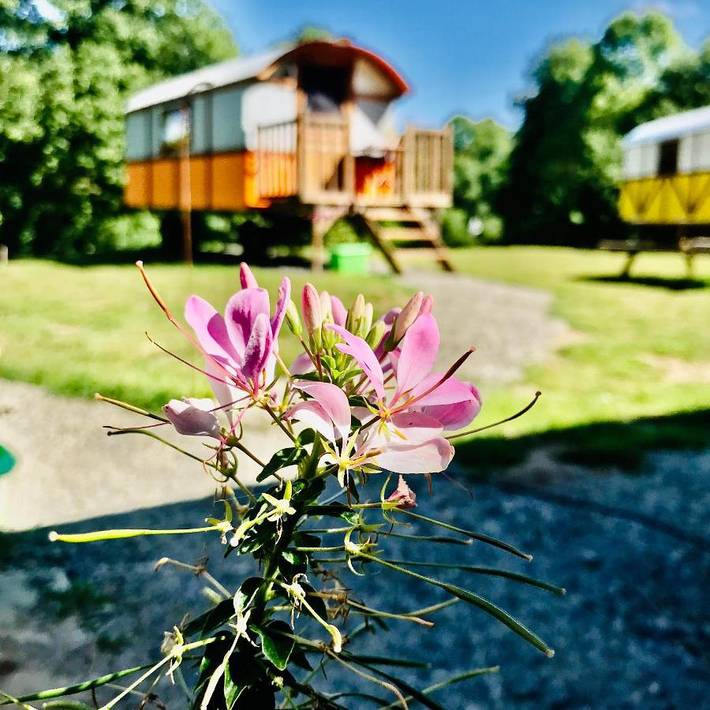 Tente pour 4 personnes, avec vue et jardin, adapté aux familles dans la Manche