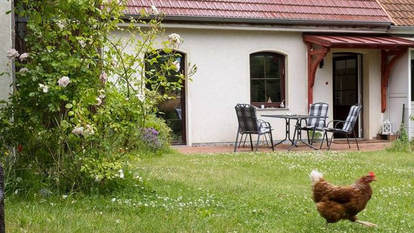 Ferienhaus für 9 Personen, mit Garten in Sassnitz