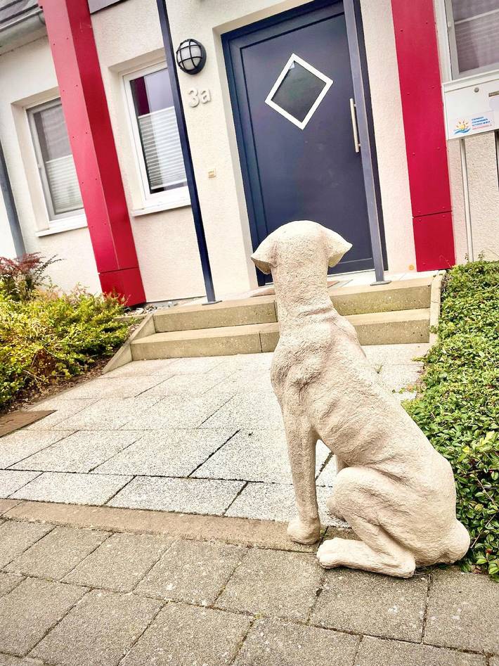 Ferienhaus für 6 Personen, mit Garten, mit Haustier in Breege - 4
