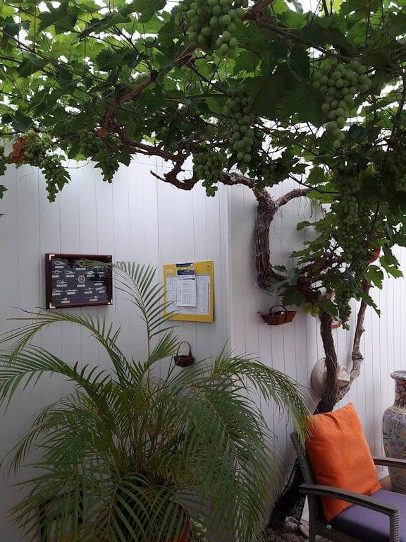 Chambre d’hôte pour 3 personnes, avec jardin