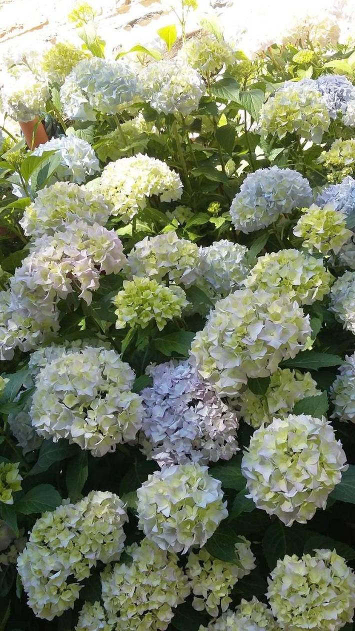 Chambre d’hôte pour 2 personnes, avec jardin et vue dans Mayenne - 2