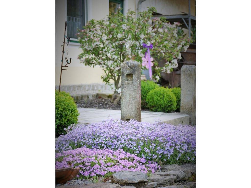 Ferienwohnung mit 1 Schlafzimmer in Furth im Wald, Ostbayern