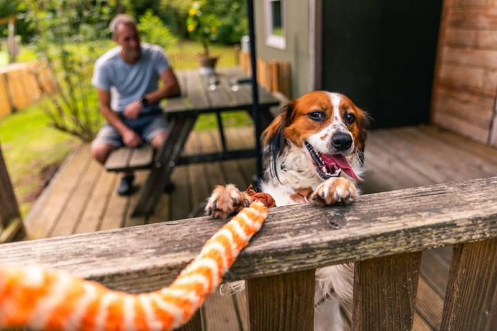 EuroParcs Ruinen — Dog Lodge 6 in Ruinen, Nationalpark Dwingelderveld
