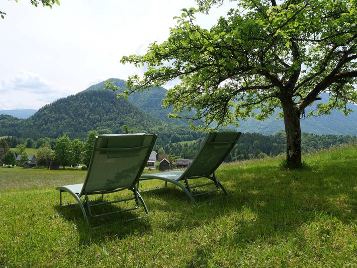 Ganze Ferienwohnung, Appartement mit seperatem Schlafzimmer in Grundlsee, Salzkammergut
